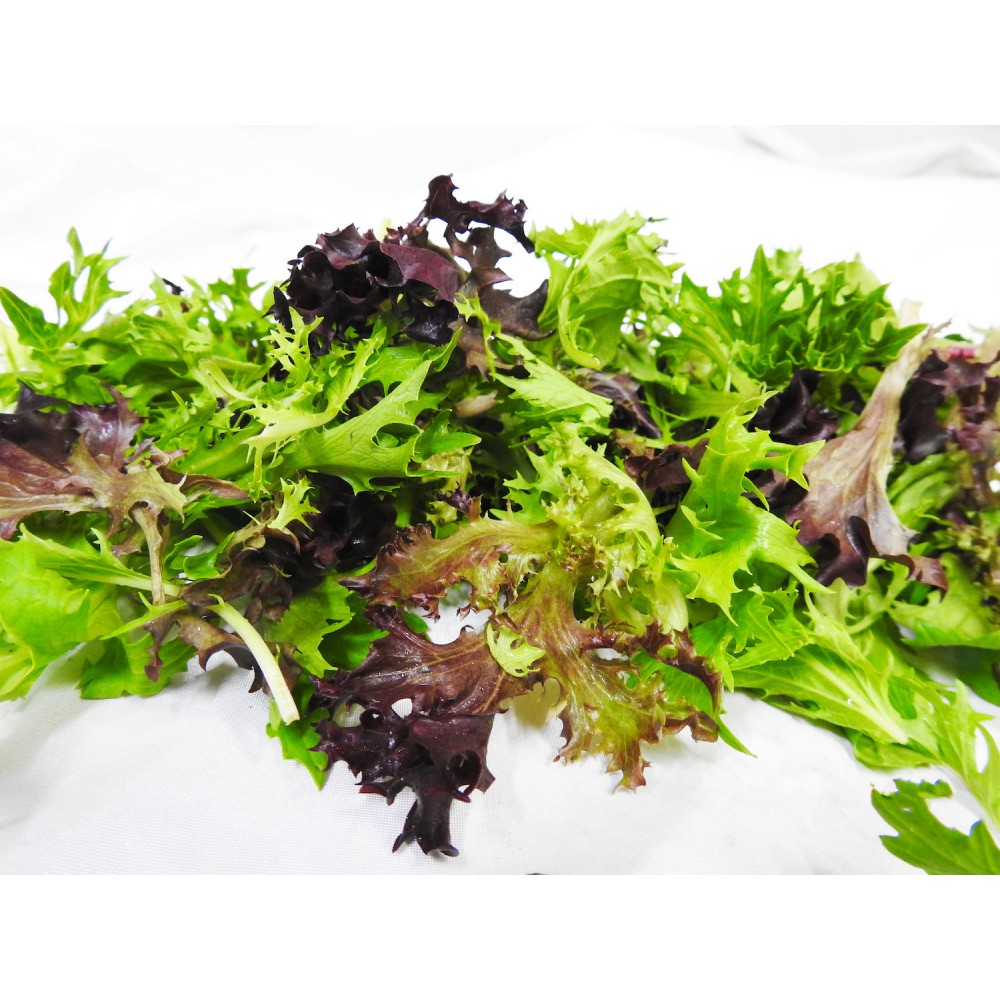 LettuceSALAD MIX 500g